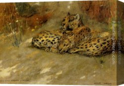East Bergholt Rectory Canvas Paintings - Study Of East African Leopards by Arthur Wardle