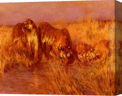 A Tiger And a Serpent Canvas Paintings - The Tiger Pool by Arthur Wardle