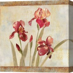Johan Laurentz Jensen Canvas Paintings - Iris Tapestry I by Asia Jensen