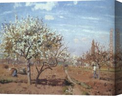 Camille Canvas Paintings - Orchard in Bloom at Louveciennes by Camille Pissarro