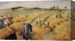 Harvest Landscape Canvas Paintings - The Harvest 1882 by Camille Pissarro