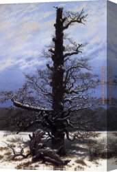 Caspar Canvas Paintings - The Oaktree in the Snow by Caspar David Friedrich