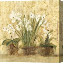 Orchid Canvas Paintings - Esprit Narcissus and Orchid by Cheri Blum