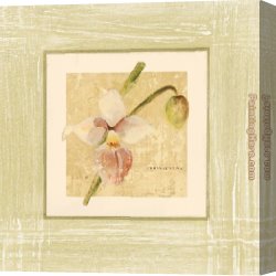Floral Canvas Paintings - Exotic Floral IV by Cheri Blum