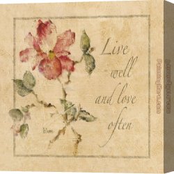 Floral Canvas Paintings - Floral Sentiments I by Cheri Blum