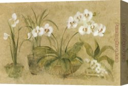 Orchid Canvas Paintings - Four Potted Orchids by Cheri Blum