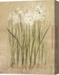 Echo And Narcissus Canvas Paintings - Narcissus by Cheri Blum