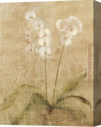 Orchid Canvas Paintings - Orchid by Cheri Blum