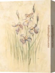 Irises Canvas Paintings - Purple Dream Irises by Cheri Blum