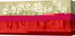 Echo And Narcissus Canvas Paintings - Row of Narcissus by Cheri Blum