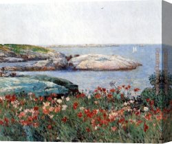 Poppies 1886 Canvas Paintings - Poppies Isles of Shoals by childe hassam