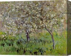 Flowering Apple Tree Branch Canvas Paintings - Apple Trees in Bloom at Giverny by Claude Monet