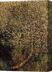 Flowering Apple Tree Branch Canvas Paintings - Apple Trees in Blossom by the Water by Claude Monet