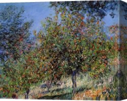 Flowering Apple Tree Branch Canvas Paintings - Apple Trees on the Chantemesle Hill by Claude Monet