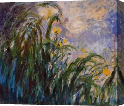 Irises in Monets Garden Canvas Paintings - Les iris jaunes 1824 by Claude Monet
