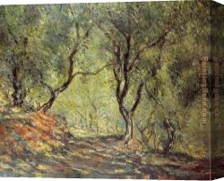Irises in Monets Garden Canvas Paintings - The Olive Tree Wood in the Moreno Garden by Claude Monet