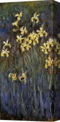 Irises in Monets Garden Canvas Paintings - Yellow Irises 2 by Claude Monet