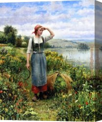 Flower Canvas Paintings - A Field of Flowers by Daniel Ridgway Knight