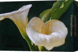David Canvas Paintings - Calla Lily Duo by David Hardy