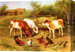 Feeding The Goldfish Canvas Paintings - Calves and Chickens feeding in a Farmyard by Edgar Hunt