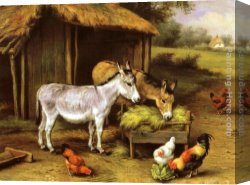 Feeding The Goldfish Canvas Paintings - Chickens and Donkeys feeding outside a Barn by Edgar Hunt