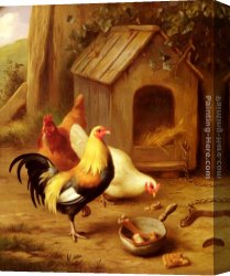 Feeding The Goldfish Canvas Paintings - Chickens Feeding by Edgar Hunt