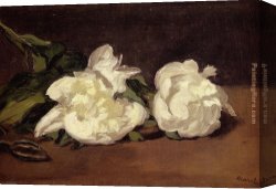 Manet Canvas Paintings - Branch Of White Peonies With Pruning Shears by Edouard Manet