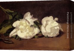 Eduard Canvas Paintings - Branch Of White Peonies With Pruning Shears by Eduard Manet