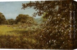 Early Canvas Paintings - Early Summer by Edward Wilkins Waite