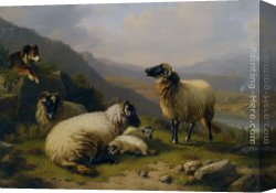 A Shepherdess with Her Flock Canvas Paintings - Sheep dog guarding his flock by Eugene Verboeckhoven