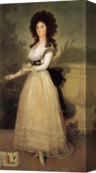 Francisco De Goya Canvas Paintings - Dona Tadea Arias de Enriquez by Francisco de Goya