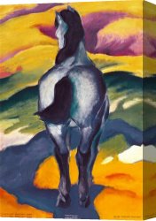 Marc Canvas Paintings - Blue Horse II by Franz Marc
