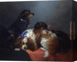 Napoleon, King of Italy Canvas Paintings - Two King Charles Spaniels and a Terrier by George Armfield