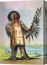 Indian Sacrifice Canvas Paintings - Mandan Indian Ha-Na-Tah-Muah Wolf Chief by George Catlin