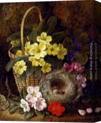 The Wasp's Nest Canvas Paintings - Still Life with Primroses, Violas, cherry Blossom and Geraniums and a Thrush's Nest by George Clare
