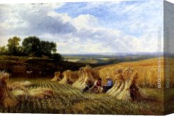 A Harvest Festival Canvas Paintings - Harvest Field by George Cole Snr