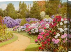Walk Canvas Paintings - The Rhododendron Walk by George Marks