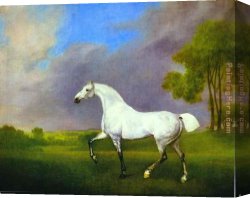 Georges Canvas Paintings - A Grey Horse by George Stubbs