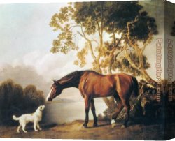 Georges Canvas Paintings - Bay Horse and White Dog by George Stubbs