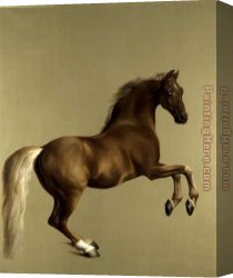 Georges Canvas Paintings - Whistlejacket by George Stubbs