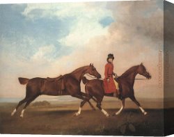 Horse's Canvas Paintings - William Anderson with Two Saddle-horses by George Stubbs