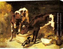 Feeding The Goldfish Canvas Paintings - Calves Feeding by George W. Horlor