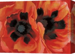 Poppies 1886 Canvas Paintings - Oriental Poppies by Georgia O'Keeffe