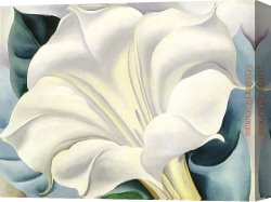 Golding Constable's Flower Garden Canvas Paintings - White Flower by Georgia O'Keeffe