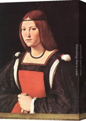 Portrait of a Young Benedictine Canvas Paintings - Portrait of a Young Woman by Giovanni Antonio Boltraffio