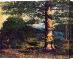 Gustave Courbet Canvas Paintings - Landscape with tree by Gustave Courbet