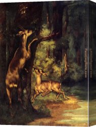 Deer Canvas Paintings - Male and Female Deer in the Woods by Gustave Courbet
