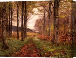 Woodland Canvas Paintings - A Woodland Landscape by Hans Anderson Brendekilde