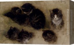Ronner-knip Canvas Paintings - Studies Of Kittens by Henriette Ronner-Knip