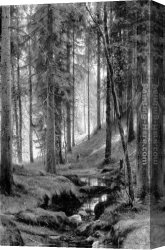 Portrait of The Painter Ivan Shishkin Canvas Paintings - Stream by a Forest Slope by Ivan Shishkin